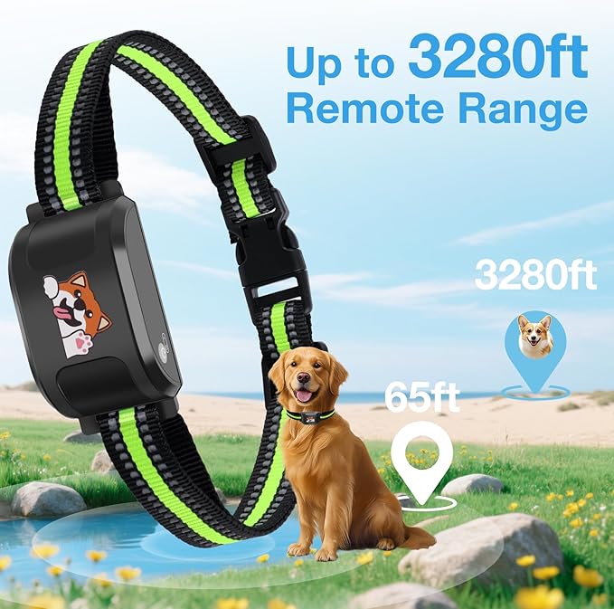 GPS Wireless Dog Electronic Fence & Dog Training Collar, Waterproof Rechargeable Collar with GPS Tracker,Customizable Boundaries via App, No Subscription Required, One Size Outdoor (Black)