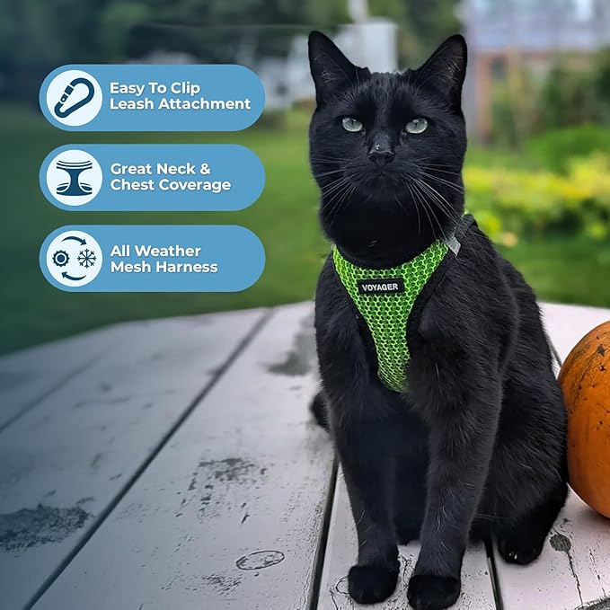 Voyager Step-in Air All Weather Mesh Harness and Reflective Dog 5 ft Leash Combo with Neoprene Handle, for Small, Medium and Large Breed Puppies by Best Pet Supplies - Lime Green (2-Tone), M