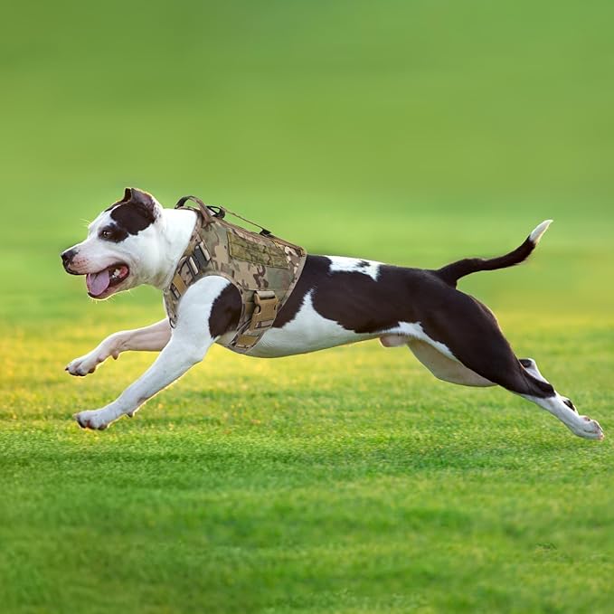 Tactical Dog Backpack Harness for Large Breed Original Design Metal Buckle Vest with Side Bags Pouches for Service Working Training (Camouflage (Vest only), M)