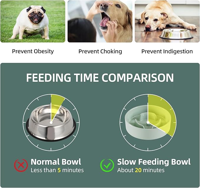 Ceramic 0.9 Cup Dog Bowl Slow Feeder for Small Dog, 6.1inch Pet Slow Feeder, Stop Bloat, Preventing Choking(Single Bowl-Light Green)
