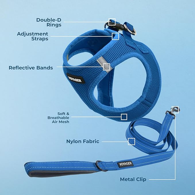 Voyager Step-in Air All Weather Mesh Harness and Reflective Dog 5 ft Leash Combo with Neoprene Handle, for Small, Medium and Large Breed Puppies by Best Pet Supplies - Set (Royal Blue), L