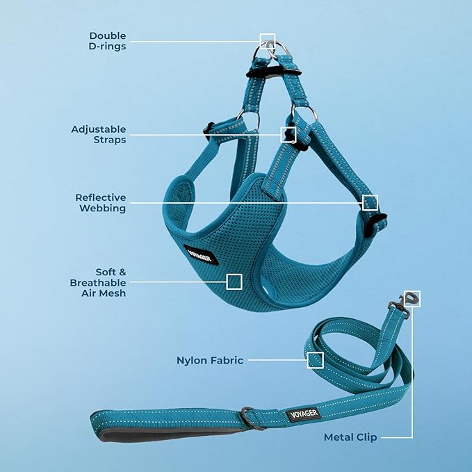 Best Pet Supplies Voyager Mesh Dog Breathable Harness Reflective Stitching, All Weather Adjustable for Walking Training, or Running - Heavy Duty & Durable, Harness Leash Set (Turquoise), XS