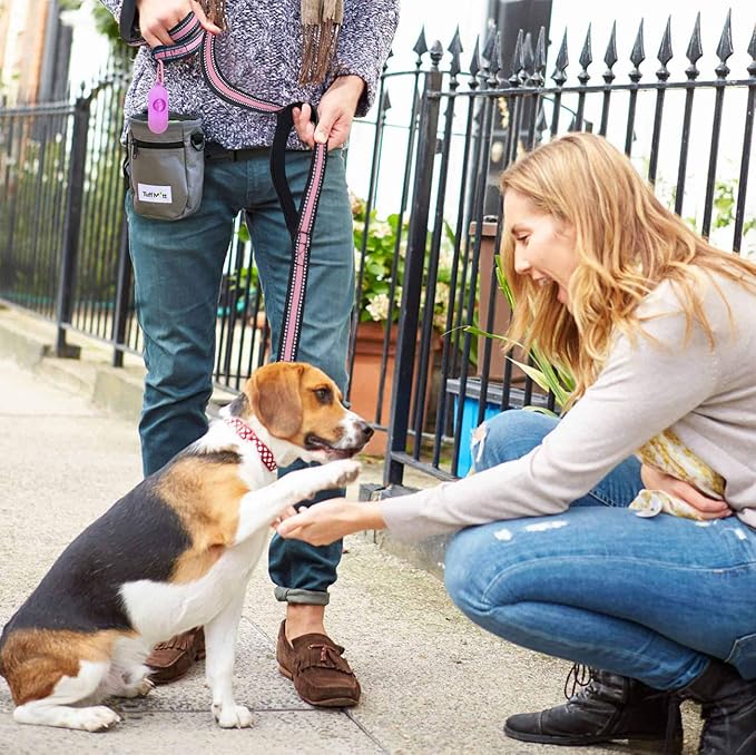 JSXD Dog Leash,5 FT Heavy Duty Double Handle Dog Leash with Comfortable Padded and Reflective,Rope Dog Leashes for Small,Medium,Large Dogs (Wide-Pink)