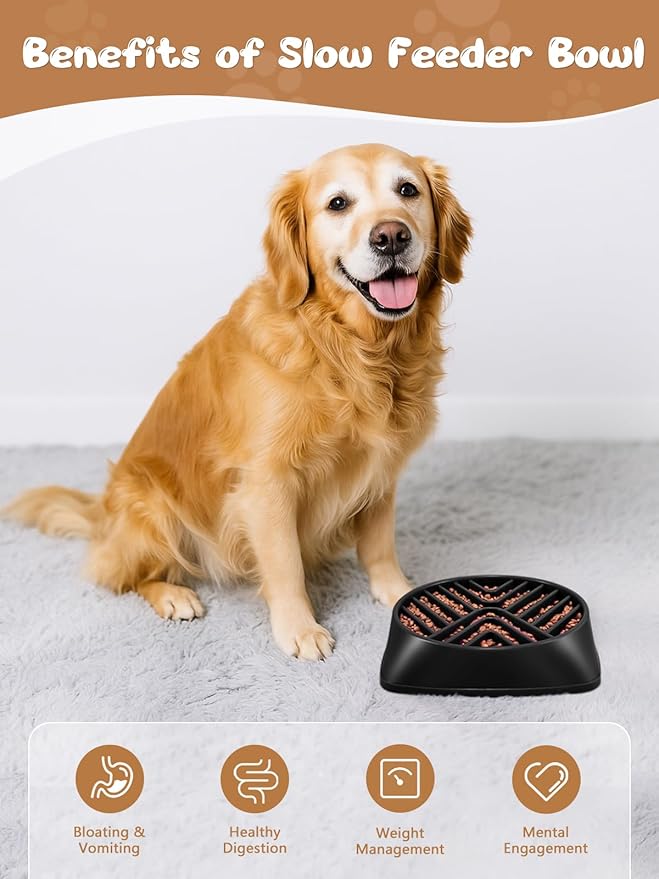 KASBAH Slow Feeder Dog Bowls Large Breed, Holds 5 Cups Wet or Dry Food for Large and Medium Dogs,Puzzle Maze for Fast Eaters,Square Base,Non-Slip, Made Without BPA,Helps Prevent Bloat & Aid Digestion