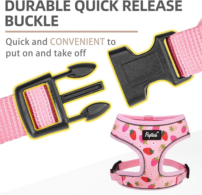 PUPTECK Soft Mesh Dog Harness and Leash Set Pet Puppy Cat Comfort Padded Vest No Pull Harnesses, Strawberry Pink, S