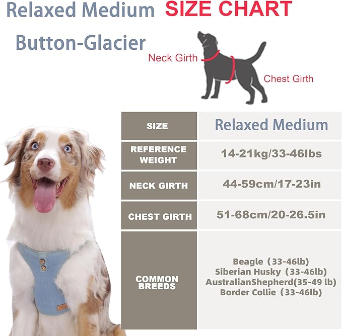 Dog Harness, No Pull Dogs Harness and Multi-Function Leash Set for Medium Dogs Easy Walk Everyday Adjustable Soft Dog Vest Harness Fashionable Dog Accessories Glacier Blue Button-Relaxed Medium