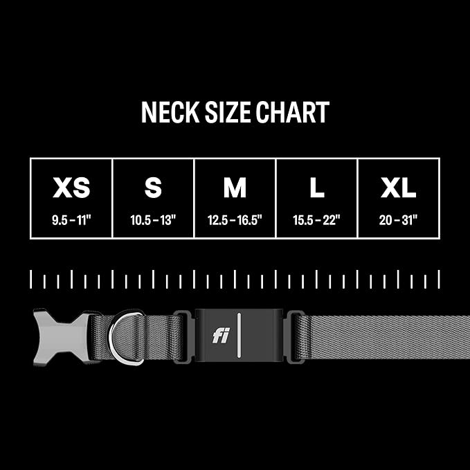 New Fi Series 3+ Smart Dog Collar - GPS Dog Tracker and Activity & New Fitness Monitor, Waterproof, LED Light, Escape Alerts, Nationwide Coverage [Free 6 Month Membership] (Gray, Small)