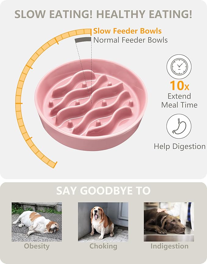 Ceramic Slow Feeder Dog Bowls for Medium and Large Dogs, 2.0 Cups Dog Slow Feeder for Fast Eater, 30oz, 8in, Salmon Pink