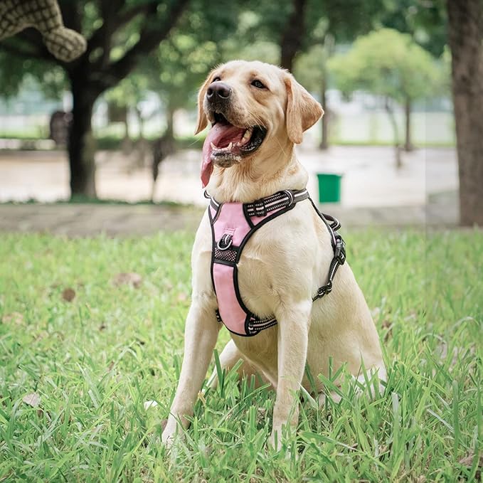 PoyPet No Pull Dog Harness, [Release on Neck] Reflective Adjustable No Choke Pet Vest with Front & Back 2 Leash Attachments, Soft Control Training Handle for Small Medium Large Dogs(Light Pink,M)