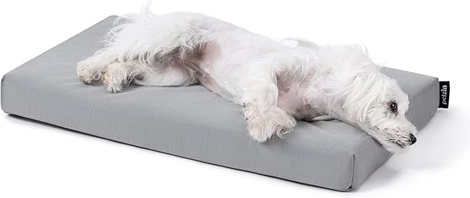 Cybarmour Chew Proof Dog Bed - Orthopedic Indestructible Dog Crate Pad - Outdoor Waterproof Kennel Mat for Aggressive Chewers - Small Breeds & Fits 24-Inch Crate - 23"x16", Limestone