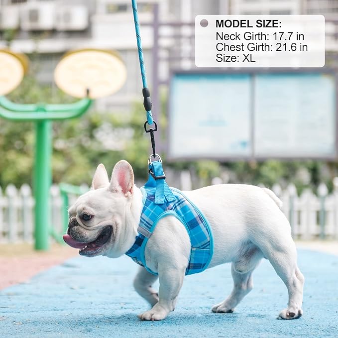 BEAUTYZOO Small Dog Harness and Leash Set,Step in No Choke No Pull Soft Mesh Dog Harnesses Reflective for Extra-Small/Small Medium Puppy Dogs and Cats, Plaid Dog Vest Harness for XS S Pets, Blue L