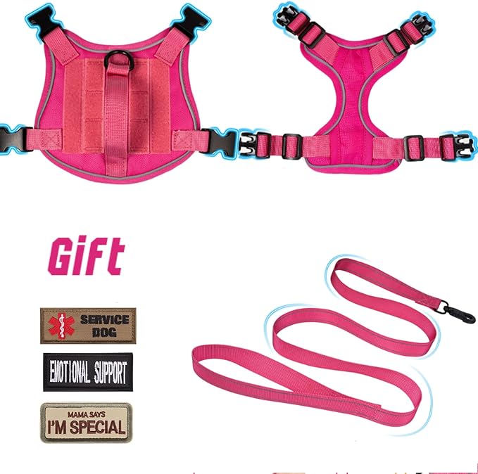 Tactical Dog Harness for Small Dogs, Military Puppy Vest Harness and Leash for Outdoor Training, Adjustable Service Dog Vest with Handle，3 Patches