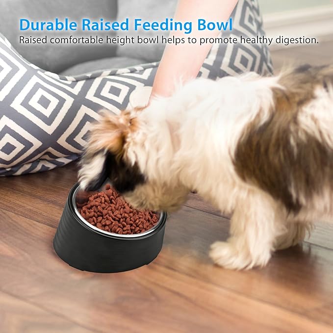 Slanted Small Cat Food Bowl 0.5 Cup, 15° Tilted Stainless Steel Mini Dog Puppy Food Bowl, Non-Slip & Non-Spill Small Kitten Pet Feeder with Elevated Detachable Melamine Stand, Easy to Get Food