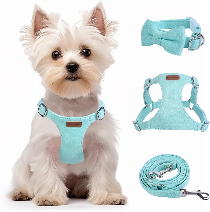 Dog Harness and Leash Set, XXS No Pull Adjustable Puppy Harness with Multifunction Pink Dog Leash and Dog Collar, Soft No Choke Escape Proof Pet Harness Vest for Small Dogs and Cats (Mint Green, S)
