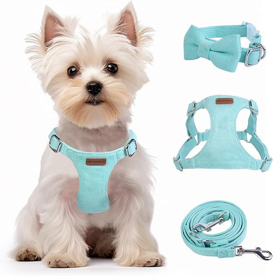Dog Harness and Leash Set, XXS No Pull Adjustable Puppy Harness with Multifunction Pink Dog Leash and Dog Collar, Soft No Choke Escape Proof Pet Harness Vest for Small Dogs and Cats (Mint Green, S)