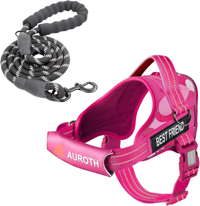 AUROTH Dog Harness and Leash Set, Soft Padded Dog Vest with 5.25FT Dog Leash, No Choke, Easy On Pet Vest, Adjustable Reflective No Pull Dog Harness for Large Dogs, Easy Walking and Training