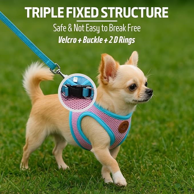 Small Dog Harness and Leash Set, Adjustable Step-in Dog Harness with Back Clip, Reflective Escape Proof Easy Walk Dog Harness for Small Sized Dog, Puppy, Cats (Lemon Yellow XS)