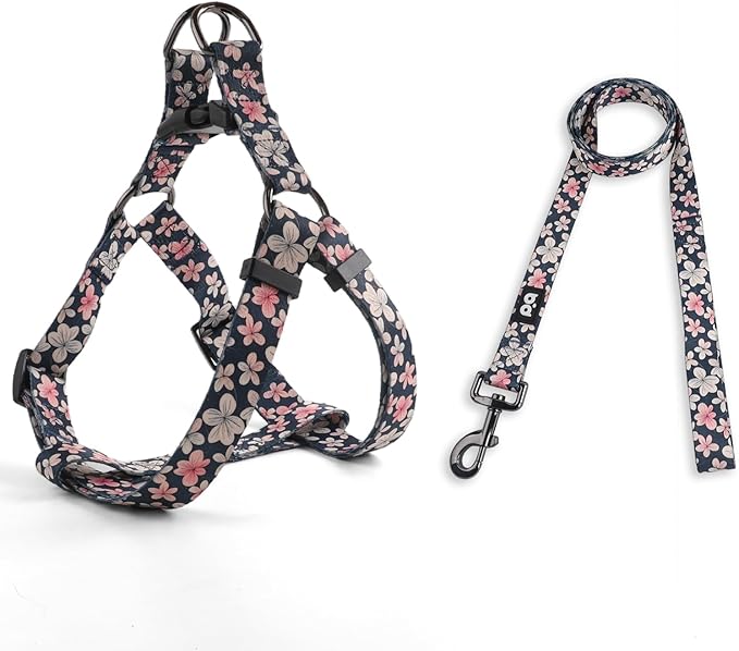 QQPETS Dog Harness Leash Set Adjustable Heavy Duty No Pull Halter Harnesses for Small Medium Large Breed Dogs Back Clip Anti-Twist Perfect for Walking