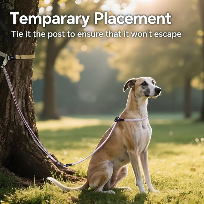 QQPETS Adjustable Slip Lead Dog Leash, Hands Free Waist Leash for Dog Walking, Reflective Training Lead with 360° Swivel Anti-Tangle, 4-7 ft Length for All Breeds