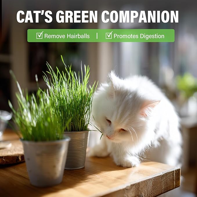 Natural Cat Grass Treats for Indoor Cats | Salmon & Catnip Dental Snacks | Hairball Control & Teeth Cleaning | Freeze-Dried Training Rewards