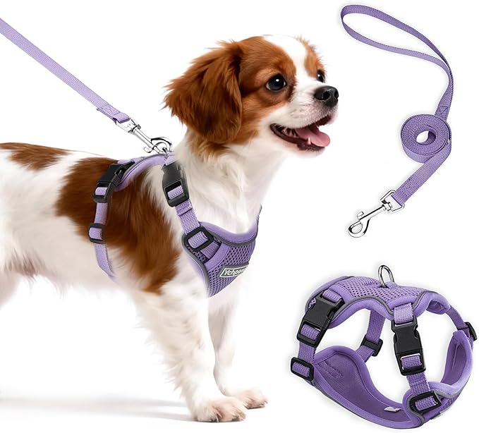 Small Dog Harness and Leash Set, Reflective Soft Breathable Mesh Vest, 3 Buckles, Adjustable Neck and Chest,Step in Dog Harness for Walking, Running, Training, Purple, M
