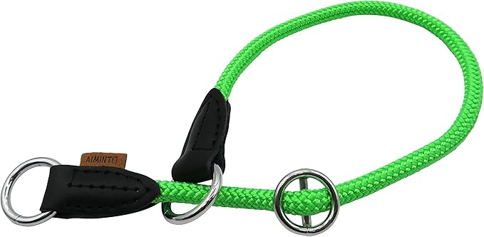 Braided Round Martingale Dog Collar, Training Collar with Slidable Stop Ring - Ideal for Small Medium Dogs (M- (1/3") - 18" Long, Light Green)