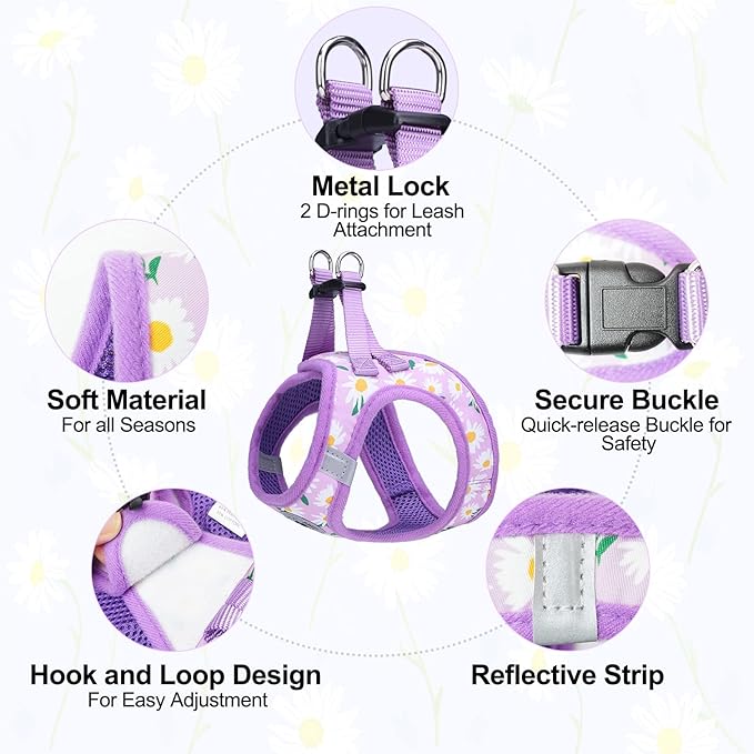 BEAUTYZOO Step in Dog Harness and Leash Set,Floral Pattern Reflective Dog Harness No Pull No Choke Puppy Harness for Small Medium Large Dogs Cats,Soft Padded Mesh Vest Harnesses for Girl and Boy Pets