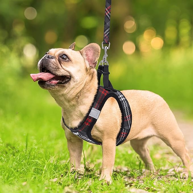 PUPTECK Dog Harness and Leash Set for Small Medium Dogs No Pull Step-in Soft Mesh Puppy Cat Vest Harnesses Reflective at Night, Plaid Pattern Black M