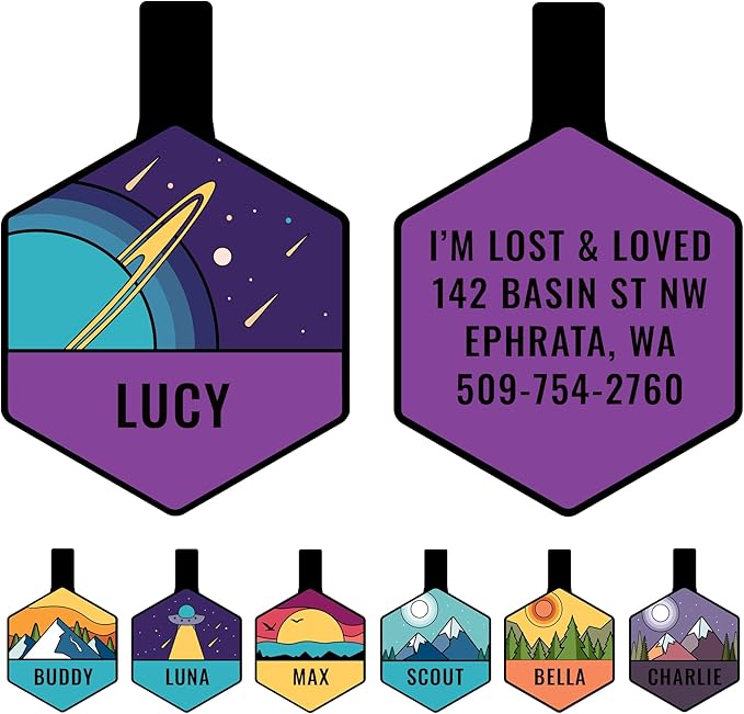 GoTags Silent Dog Tag, Personalized Engraved Hexagon Silicone Dog and Cat Name Pet ID Tags, Soundless No More Jingling Dog Tags (Space Planet)