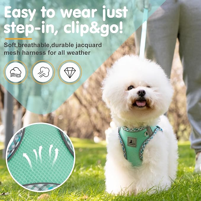 Dog Harness & Leash Set - No Pull Soft Breathable Small Dog Harness, Adjustable Reflective Step-in Vest for Puppy, Kitten, Cats