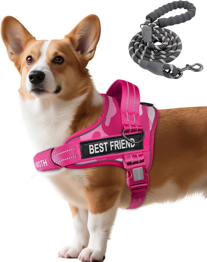 AUROTH Dog Harness and Leash Set, Soft Padded No Pull Dog Harness with 5.25FT Dog Leash, No Choke, Easy On Pet Vest, Adjustable Reflective Dog Vest Small Sized Dog, Easy Walking and Training