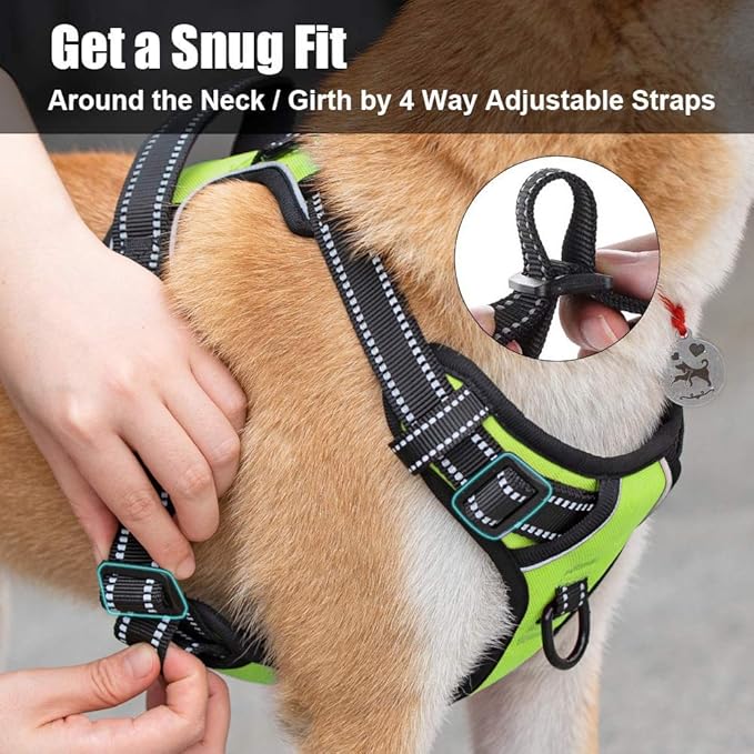 PoyPet No Pull Dog Harness, Reflective Comfortable Vest Harness with Front & Back 2 Leash Attachments and Easy Control Handle Adjustable Soft Padded Pet Vest for Small to Large Dogs (Green,M)