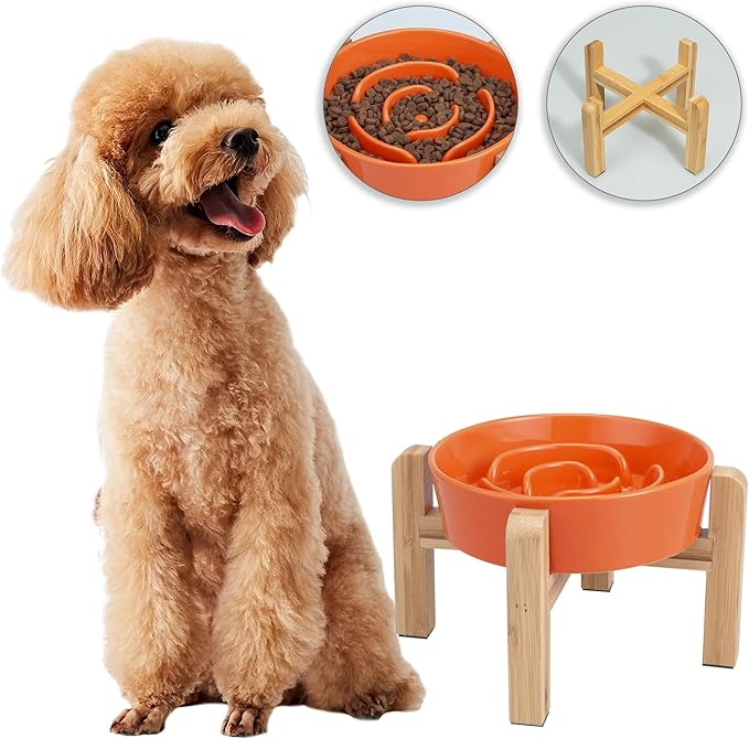 Elevated Slow Feeder Dog Bowl - Ceramic Maze Food Dish with Bamboo Stand - Raised Feeding Bowl for Fast Eaters - Ideal for Small and Medium Dogs - Orange - 6.7 inch