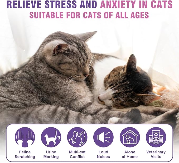 Cat Calming Pheromone Diffuser Refills 4 Pack Anxiety and Stress Calming for Cats Reduce Inappropriate Peeing and Spraying Fragrance Free for Bedroom Bathroom Reduces Conflict in Multi-Cat Households