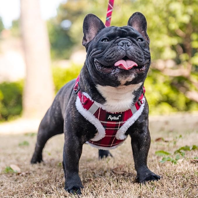 PUPTECK Dog Harness and Leash Set Medium Sized, Step in No Pull Adjustable Puppy Cat Harness Reflective Pet Vest