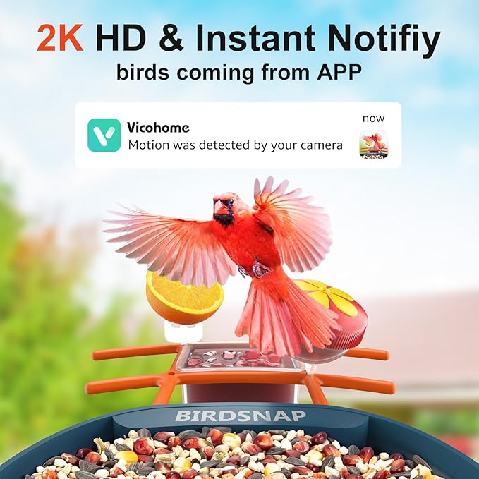 birdsnap® PAV-Bird Feeder with Camera 2K HD, 64GB Card, AI Identify Bird Species Smart Bird House with Camera Solar Powered, Record Video Live View, Auto Capture, Ideal Gift for Birds Lover