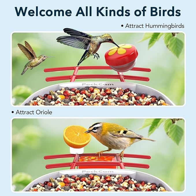 Smart Bird Feeder with Camera 2K Live Real-Time Alert AI Identify with 32G Card DIY Attachments Camera Bird Feeder Solar Powered Wireless Outdoor Birdwatching Gift for Birds Lover, Red