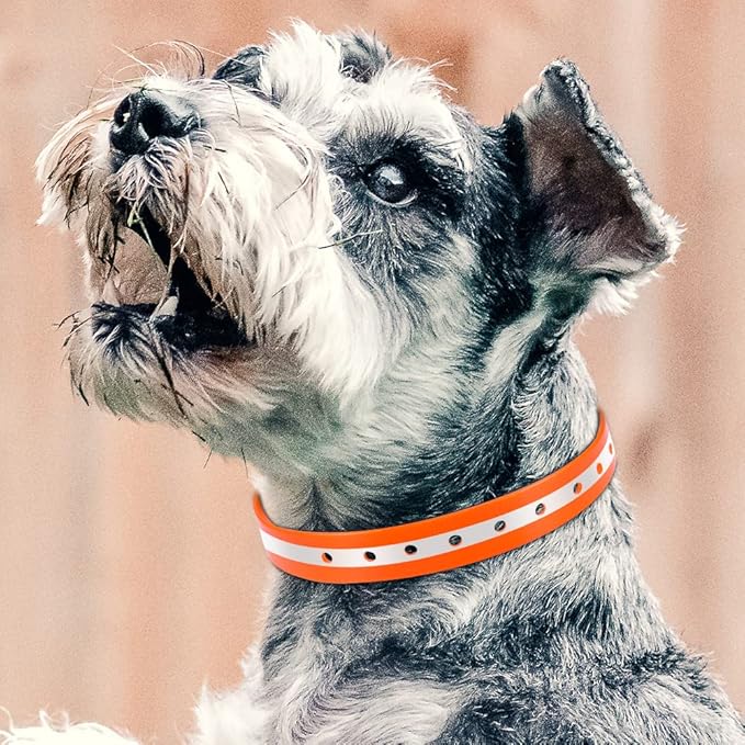 PetJoy Dog Collars Strap, Replacement Collar for Shock Reflective Collar, Adjustable Classic Dog Collar Strap for All Varieties Small Medium Large Dogs (Blue & Orange)