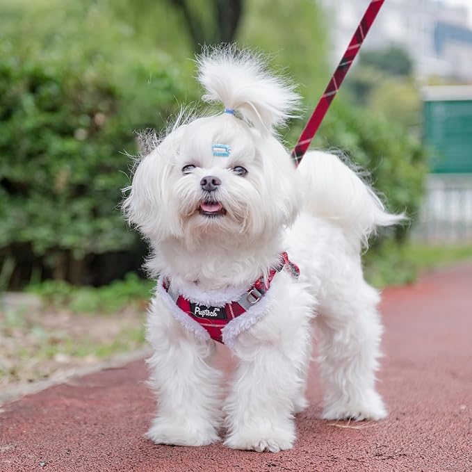 PUPTECK Dog Harness and Leash Set Small Sized, Step in No Pull Adjustable Puppy Cat Harness Reflective Pet Vest