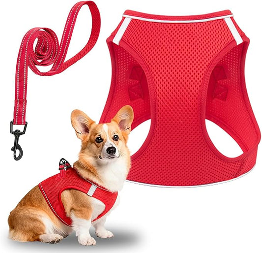 Dog Harness and Leash Set, No Pull Mesh Puppy Harness for Small Medium Sized Dogs, Pet Vest for Walking Running Training, Double D-Rings Reflective Strip