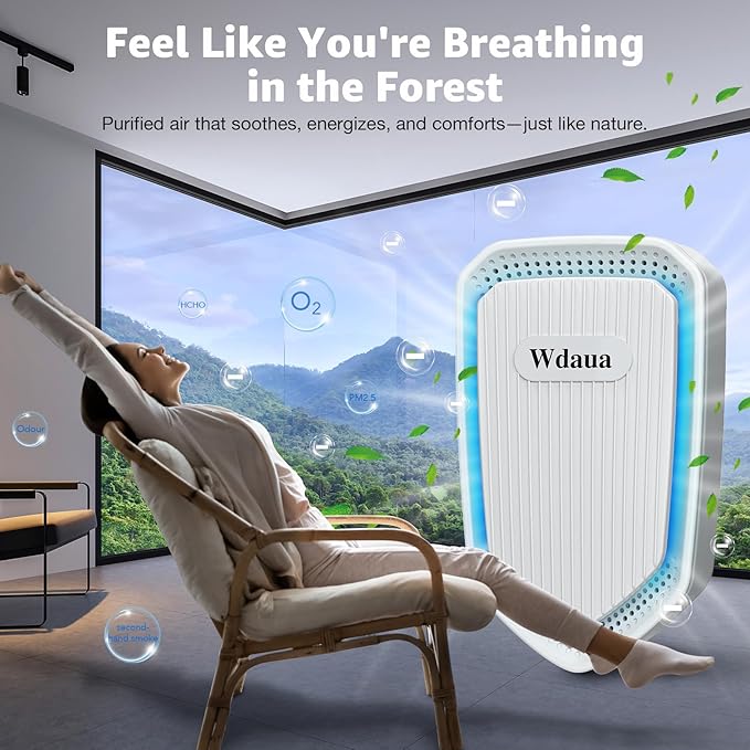 Air Purifier 2 Pack Plug In Negative Ion Air Purifiers Ionizer for Home, Bedroom, Office, Basement Kitchen Air Freshener Odor Reducer Pets Smoke Smell (2)