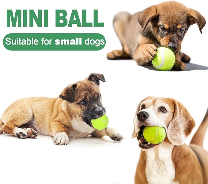 10 Pack 2-Inch Small Tennis Balls for Dogs, Interactive Fetch Toys for Indoor & Outdoor Play, Chew-Resistant Pet Training Balls(Not Compatible with The New Ball-Throwing Machine)