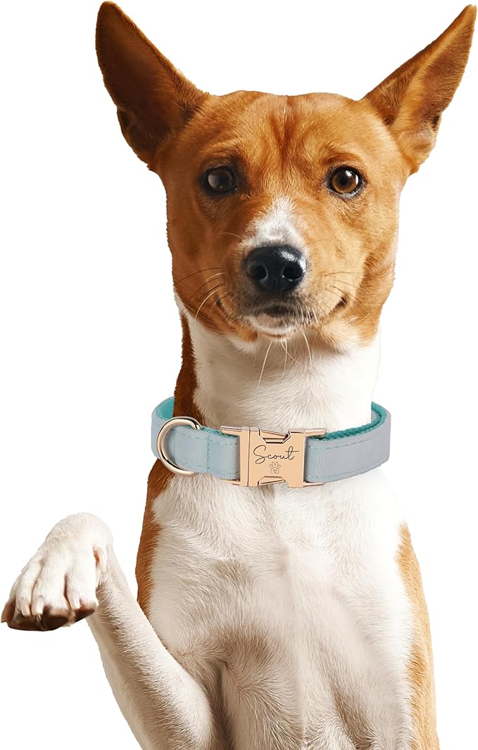 Velvet Harness Set, Gift for Pet Owners, Custom Dog Collar Personalized Name and Phone Number, Custom Collar Leash for Dogs, Engraved Metal Buckle Collar (Small)