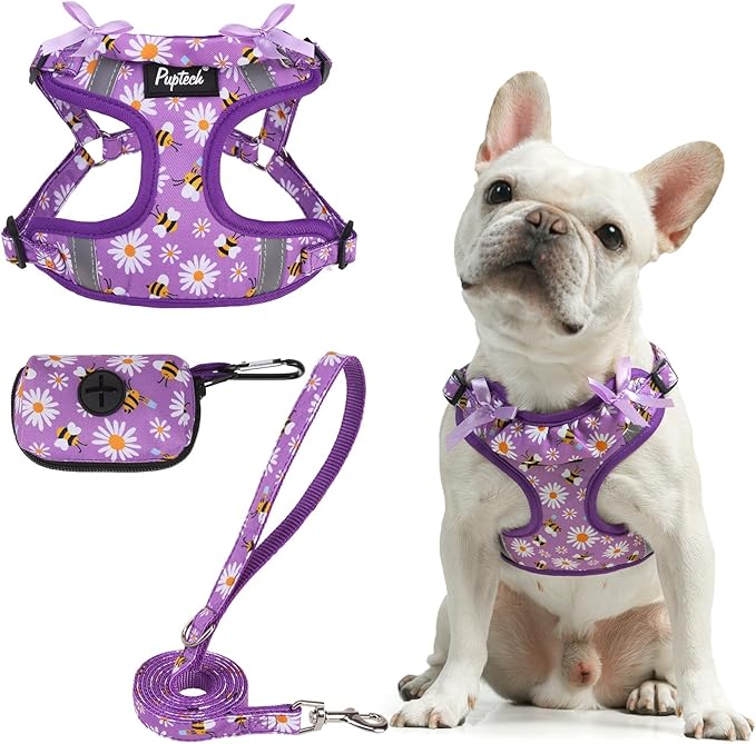 PUPTECK Dog Harness and Leash Set Small Sized, Step in No Pull Adjustable Puppy Cat Harness Reflective Pet Vest