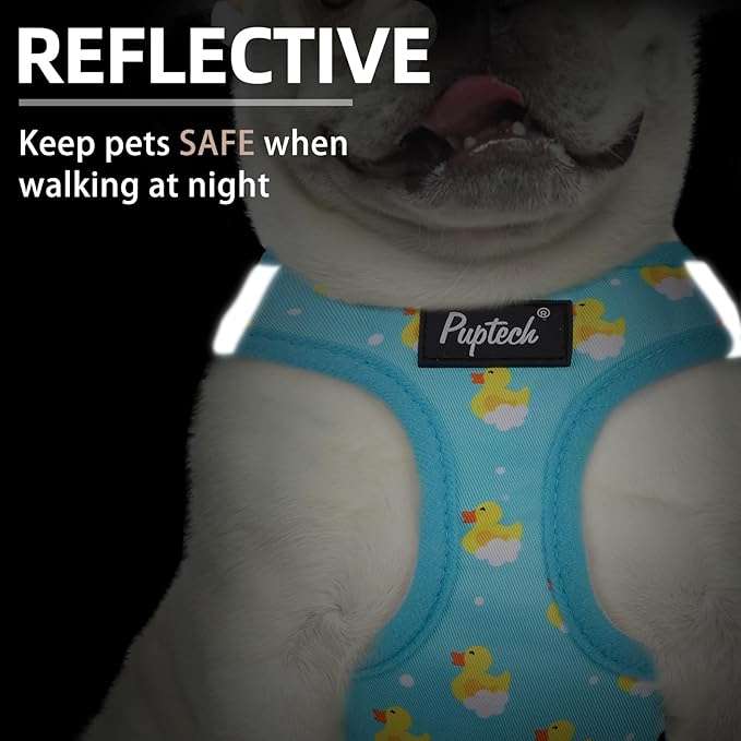 PUPTECK Dog Harness and Leash Set for Small Medium Dogs No Pull Step-in Soft Mesh Puppy Cat Vest Harnesses Reflective at Night, Blue Duck, S