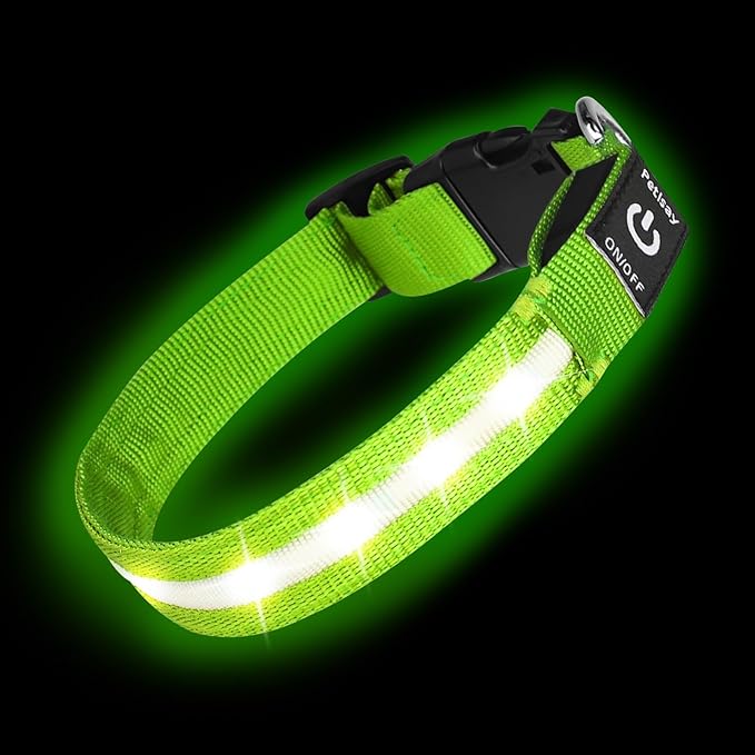 Super Bright LED Dog Collar - Fully Waterproof & Adjustable Glow Collar - USB-C Rechargeable for Night Walking, Safety - Flashing Lighted Collar for Dogs(Green,Small)