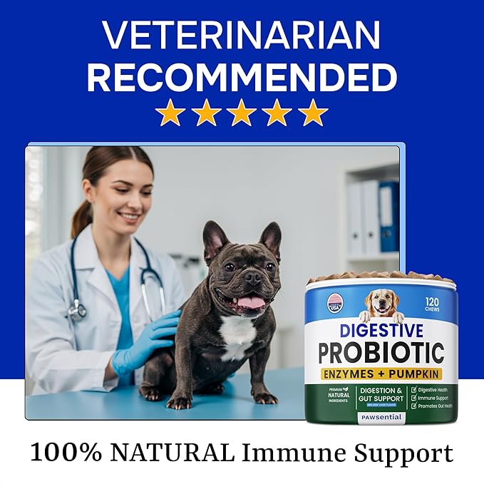 Advanced Dog Probiotics for Digestive Health & Enzymes - Diarrhea, Gas, Upset Stomach Relief & Season Allergy - Chews for Digestion - Prebiotics Fiber Supplement - Pet Probiotics for Dogs - 120 Chews