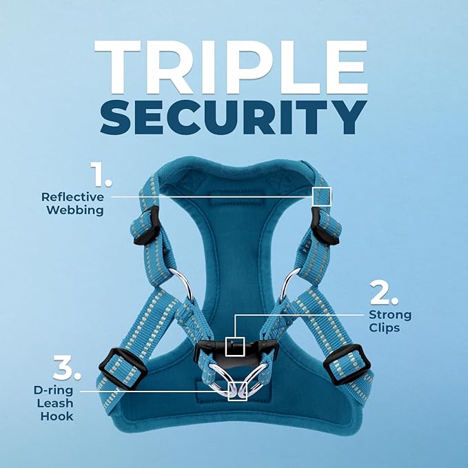 Best Pet Supplies Voyager Mesh Dog Breathable Harness Reflective Stitching, All Weather Adjustable for Walking Training, or Running - Heavy Duty & Durable, Harness (Turquoise), XS