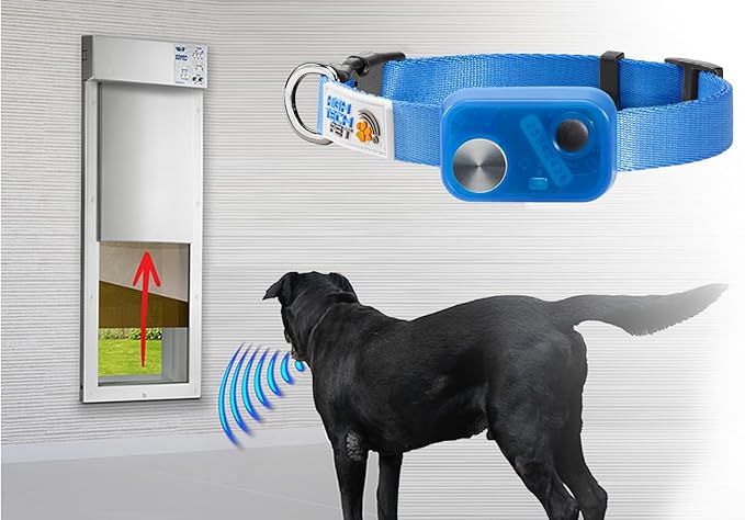 MS-5 Econ Series Automatic Pet Door Collar by High Tech Pet Brand - Value Priced Dependable Performance - Waterproof - Rugged - Battery Included - USA Support (Blue)