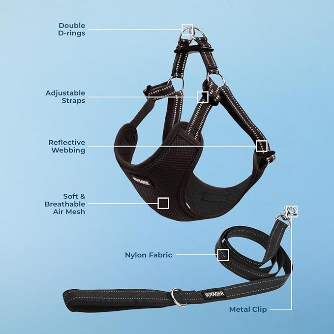 Best Pet Supplies Voyager Mesh Dog Breathable Harness Reflective Stitching, All Weather Adjustable for Walking Training, or Running - Heavy Duty & Durable, Harness Leash Set (Black), M